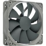 Noctua NF-P12 redux-1300 case fan Grijs, 3-pins fan connector