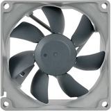 Noctua NF-R8 redux 1800 case fan 3-pin aansluiting