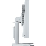 EIZO S1934H-GY 19" Monitor Grijs, DisplayPort, VGA, DVI-D