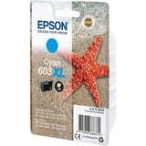 Epson 603XL inkt C13T03A24010, Cyaan