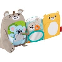 Fisher-Price Activiteitenboek Zitten en Knuffelen Leerboek