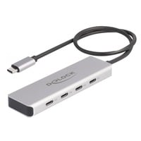 DeLOCK 64231 usb-hub Grijs, 4x USB-C 3.2 (10 Gbit/s)