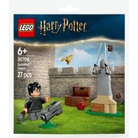 LEGO Harry Potter - Zwerkbal les Constructiespeelgoed 30706