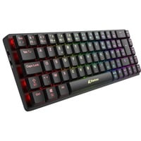 Sharkoon PureWriter W65 RGB mechanisch toetsenbord Zwart, BE lay-out (AZERTY), Kailh Choc V2 Low Profile Brown, 65%