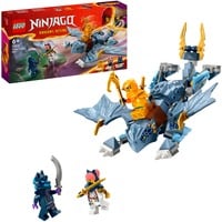 LEGO Ninjago - Jonge draak Riyu Constructiespeelgoed 71810