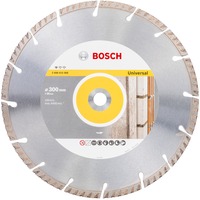 Bosch Diamantdoorslijpschijf 300x20 Stnd. f. Univ._Speed 