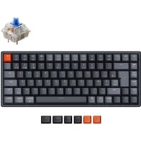 Keychron K2-C2H, toetsenbord Zwart, BE Lay-out, Gateron G Pro Blue, RGB-leds, 65%, Double-shot ABS, Hot-swappable, Bluetooth