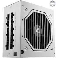 Sharkoon Rebel P20 1000 White voeding Wit, 4x PCIe, 1x 12VHPWR, Kabelmanagement