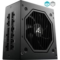 Sharkoon Rebel P20 modulaire 1000 watt voeding  Zwart, 1x 12VHPWR, 4x PCIe