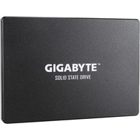 GIGABYTE 256 GB SSD GP-GSTFS31256GTND, SATA 600