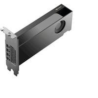 PNY NVIDIA RTX PRO 2000 Blackwell Generation 16GB SB grafische kaart 4x Mini-Display Port 2.1, Bulk