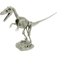 Geoworld Dino Excavation Kit - Velociraptor Skeleton Experimenteer speelgoed 