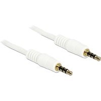 DeLOCK 3,5 mm male > 3.5 mm male kabel Wit, 0,5 meter