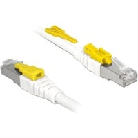 DeLOCK Cat.6a netwerkkabel Wit, 5 meter, S/STP, RJ-45