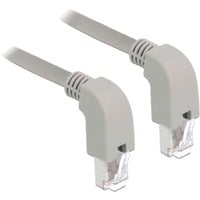 DeLOCK Netwerkabel S/FTP, RJ-45 met Cat.6a Grijs, 1 meter