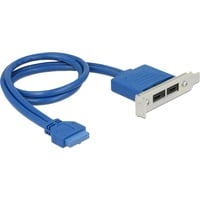 DeLOCK Slot bracket 1x 19-Pin USB 3.1 pin header female intern > 2 x USB-C female extern Low Profile kabel Blauw, 0,3 meter