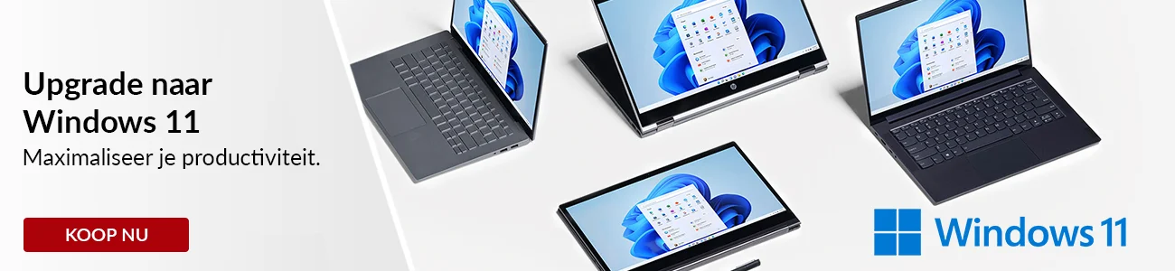 Windows 11